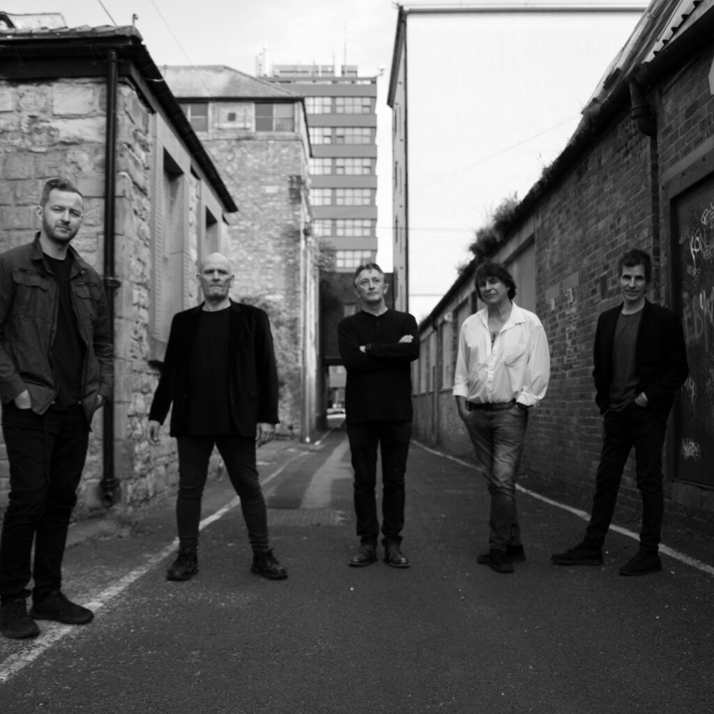 The Chameleons