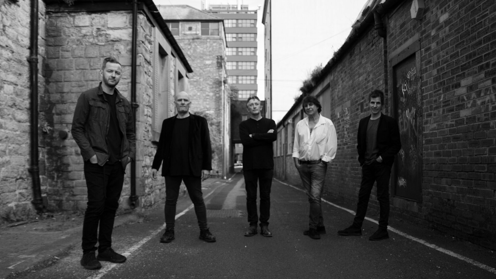 The Chameleons