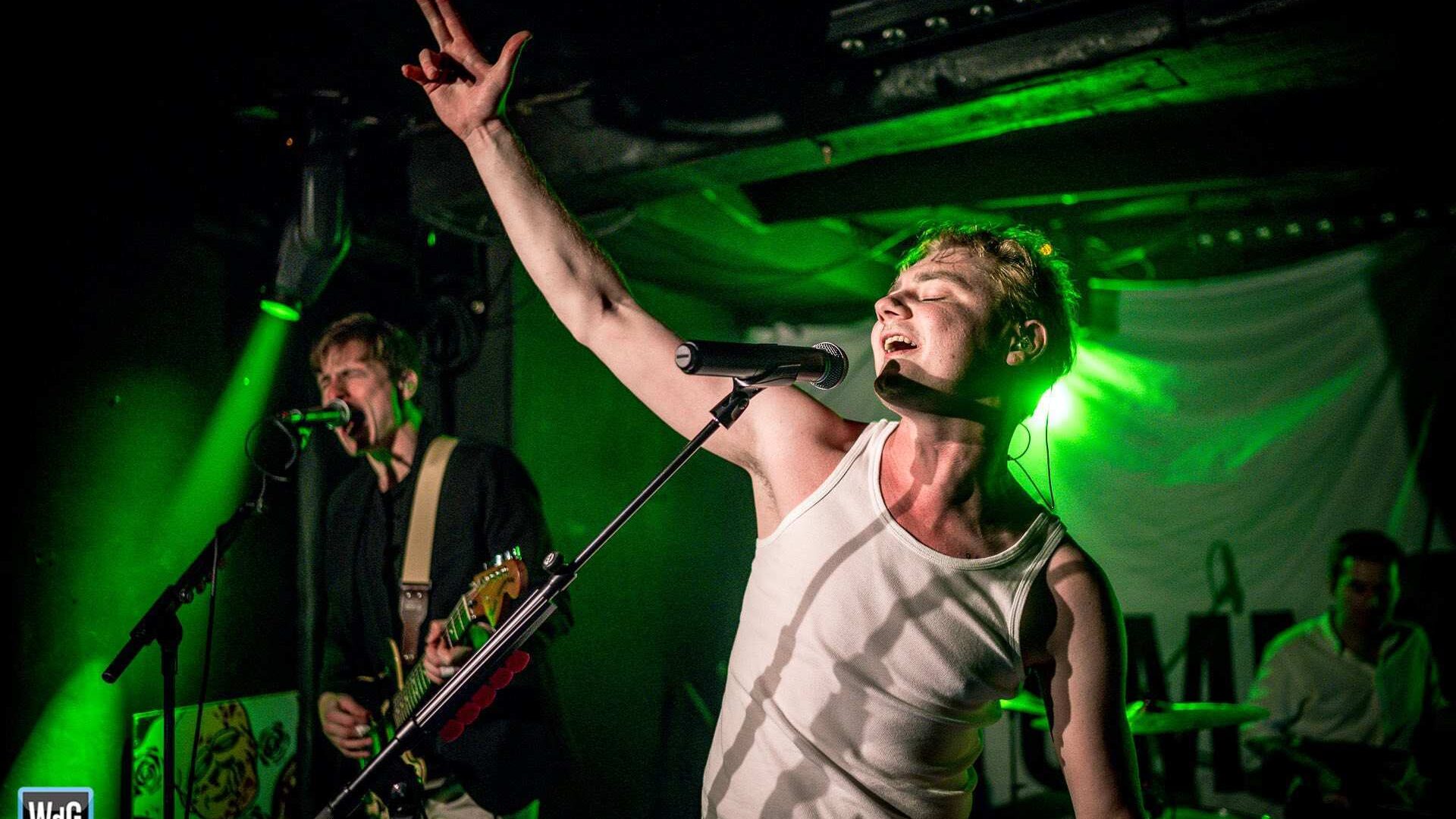 Stripped by Tommy Gazer