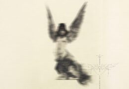 Ika Schwander - Swan Songs [Cultura Nova] op Ika Schwander - Swan Songs [Cultura Nova]