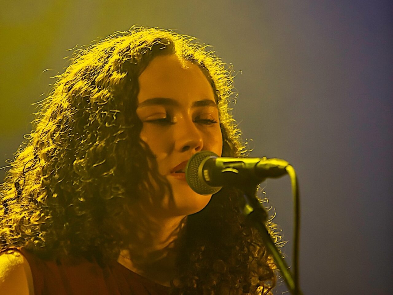 20251109 LAHAYE NIEUWENOR 1