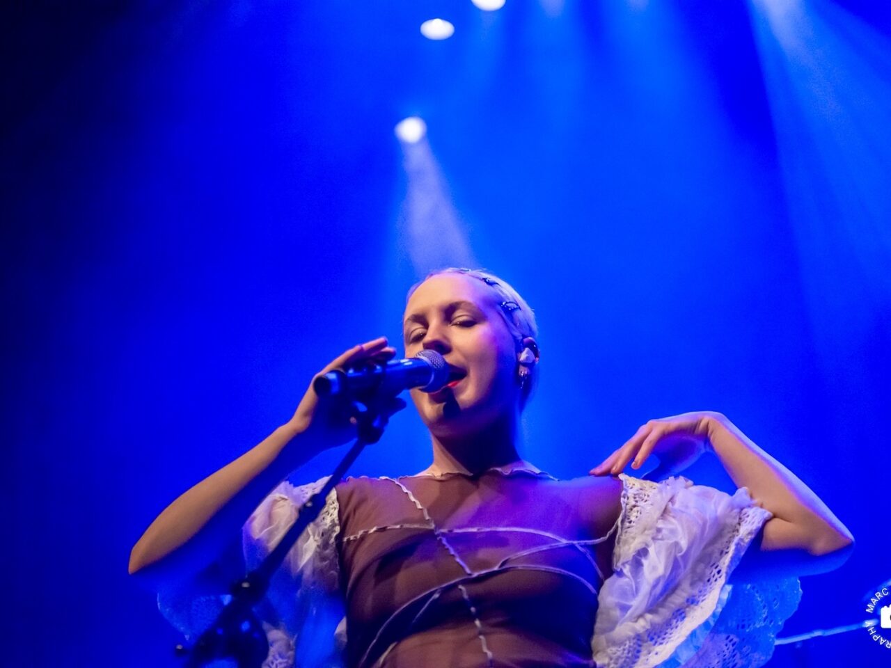 20260327 Punk Cirkel Kaatvan Stralen Nieuwe Nor 1