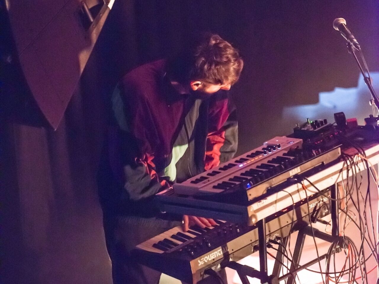 20260402 Tukan NIEUWENOR 23