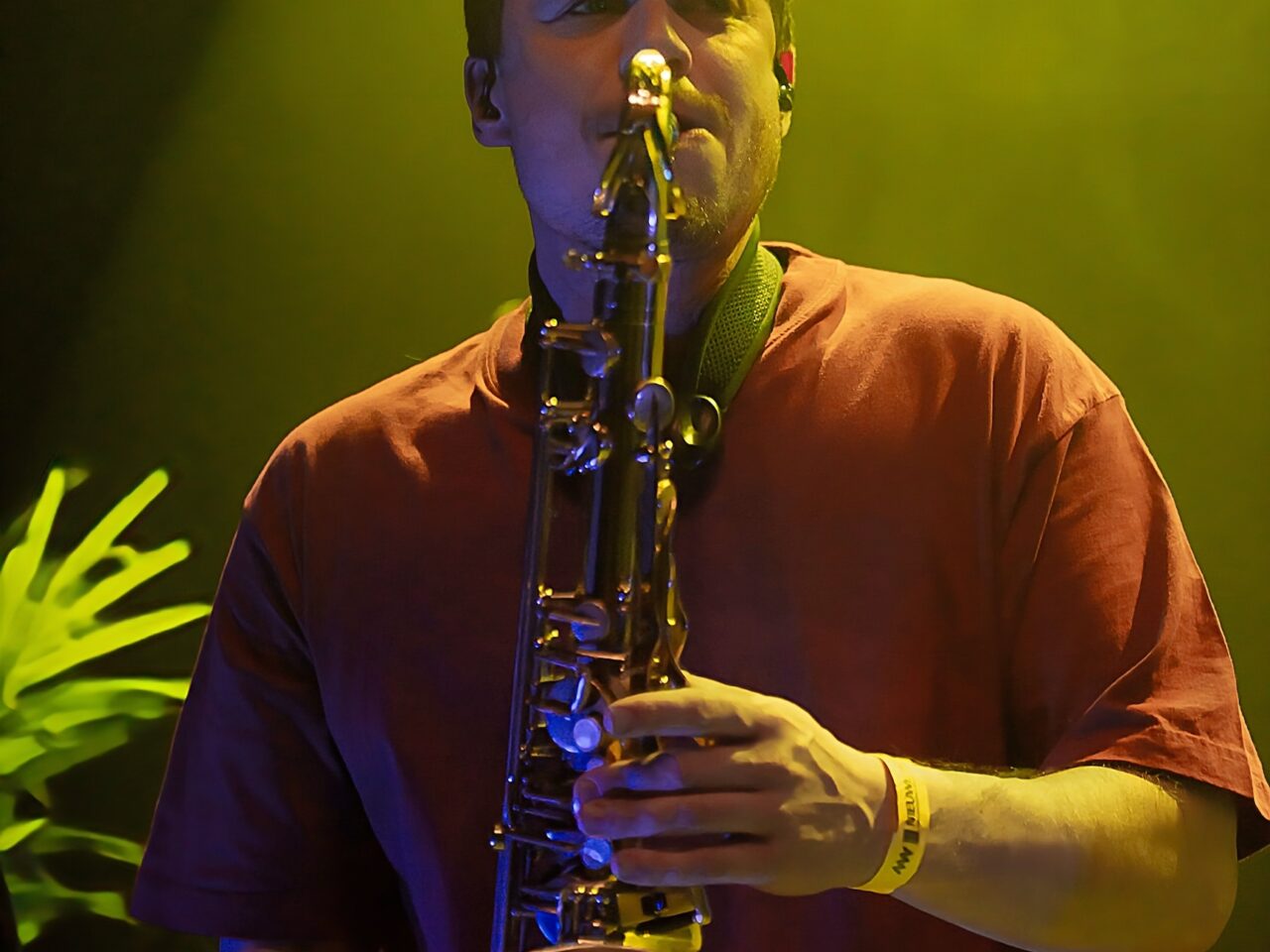 20260410 Primaat NIEUWENOR 03