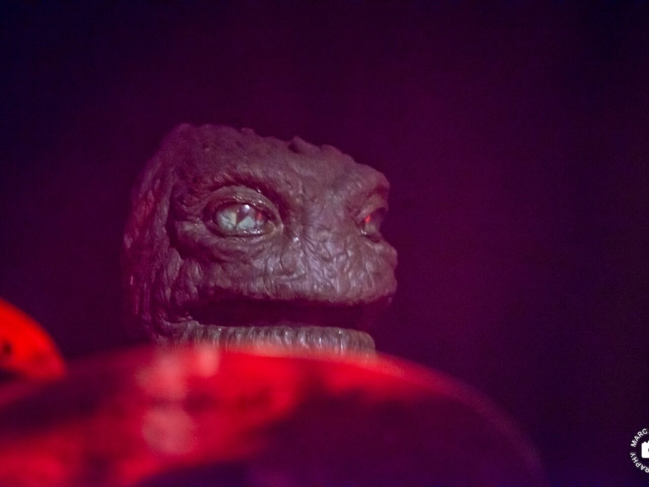 20260412 HENGE NIEUWENOR 35