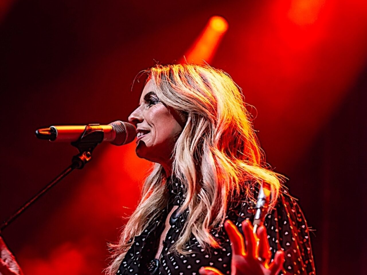 20260524 Candy Dulfer NIEUWENOR 16