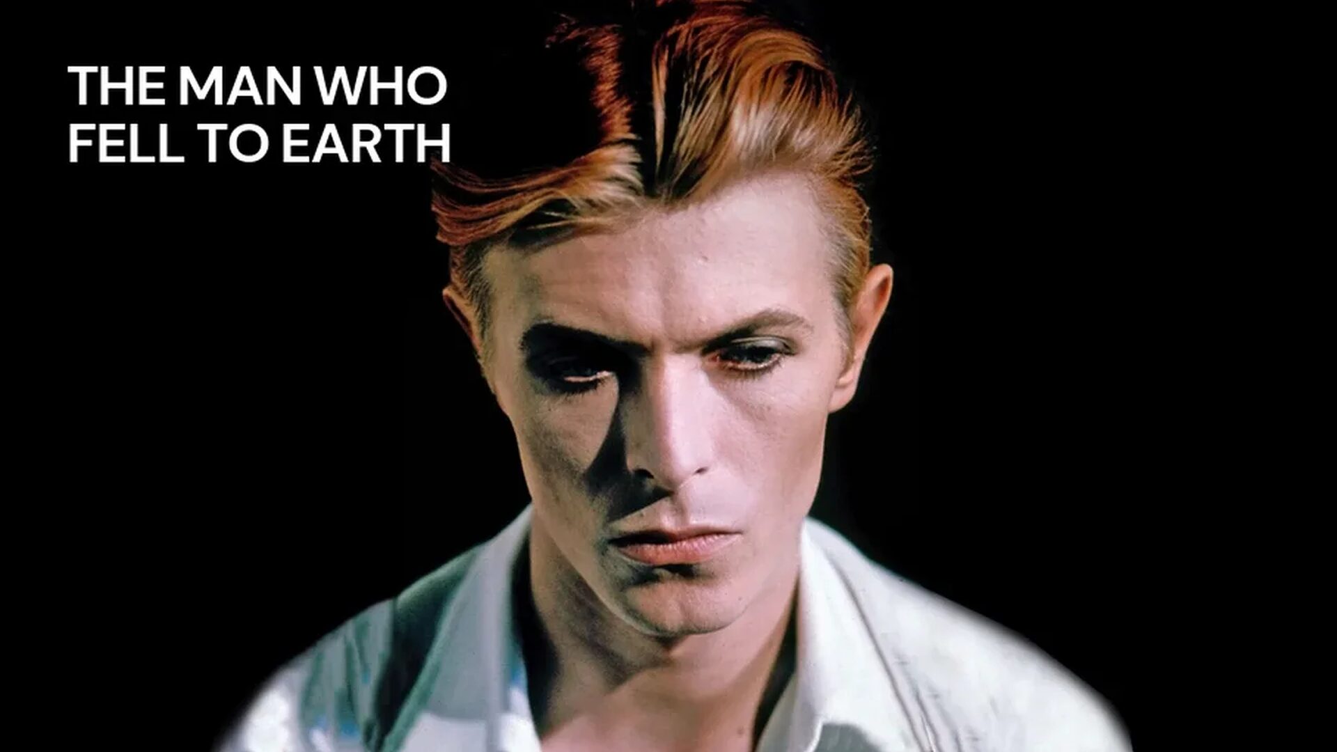 The Man Who Fell to Earth